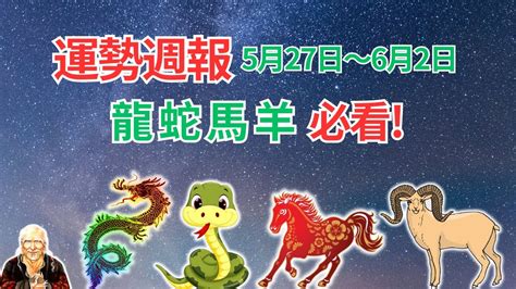 蛇馬羊三會|蛇馬羊三會：2024年運勢大揭秘